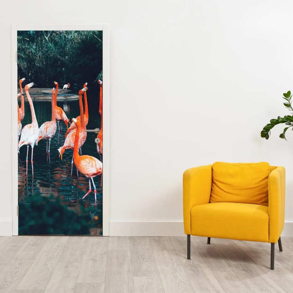 Fototapeta na dvere - Stáda plameniakov (95x205cm)