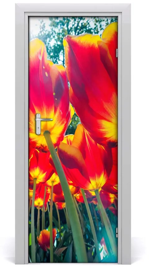 Fototapeta na dvere tulipány 75x205 cm