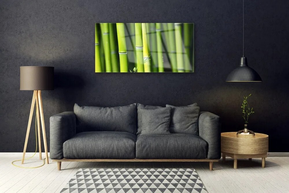 Obraz na skle Bambus príroda rastlina 100x50 cm