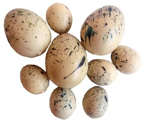 Dekoračné vajíčka prepeličie 9 ks