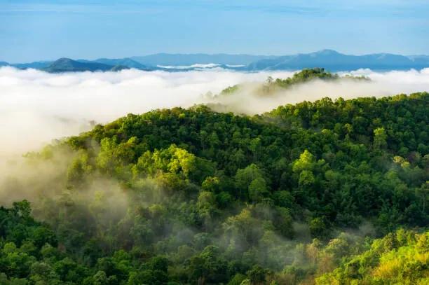 Fotografia Beautiful mist over green forest on mountain., NirutiStock, (40 x 26.7 cm)