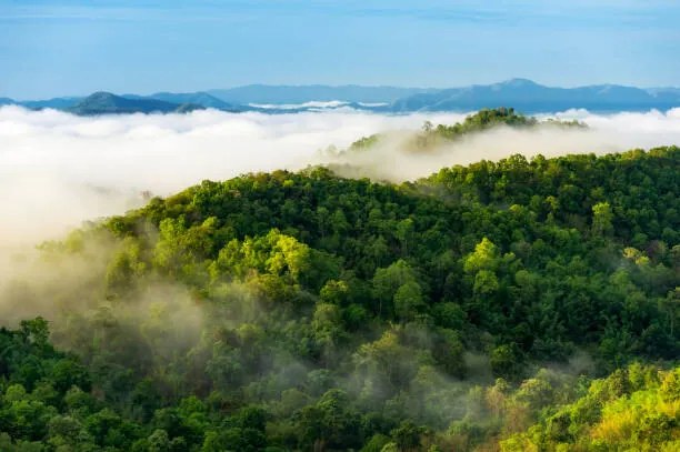 Umelecká fotografie Beautiful mist over green forest on mountain., NirutiStock, (40 x 26.7 cm)