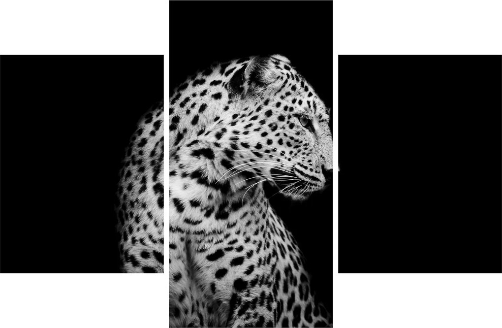 Obraz - Leopard (90x60 cm)
