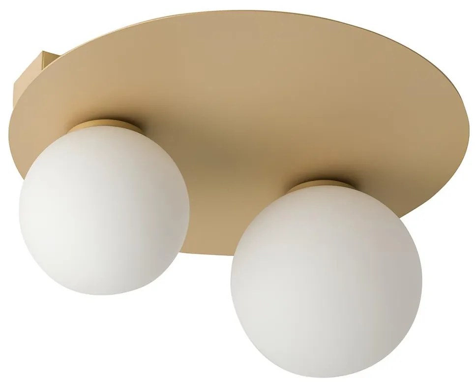 Stropné svietidlo ARGON 2xG9/12W/230V zlatá