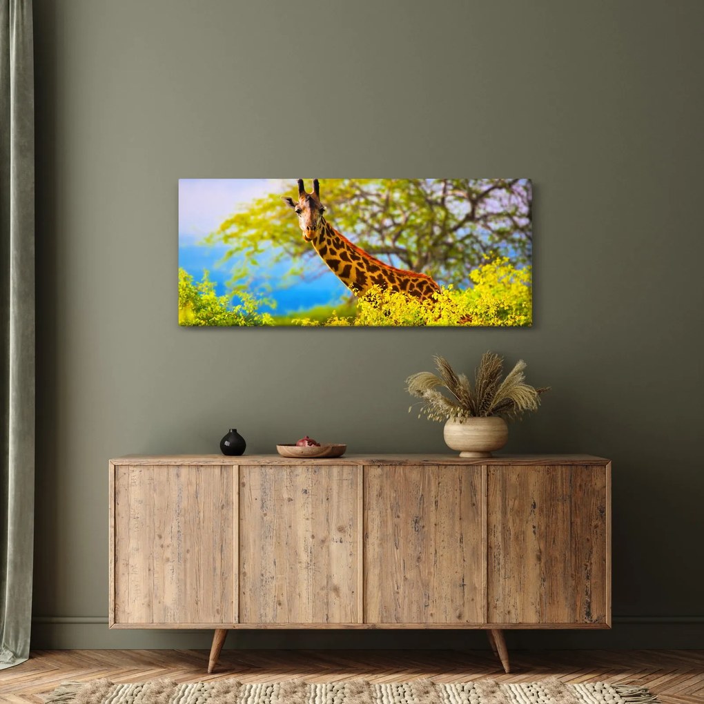 Obraz žirafy v Afrike (120x50 cm)