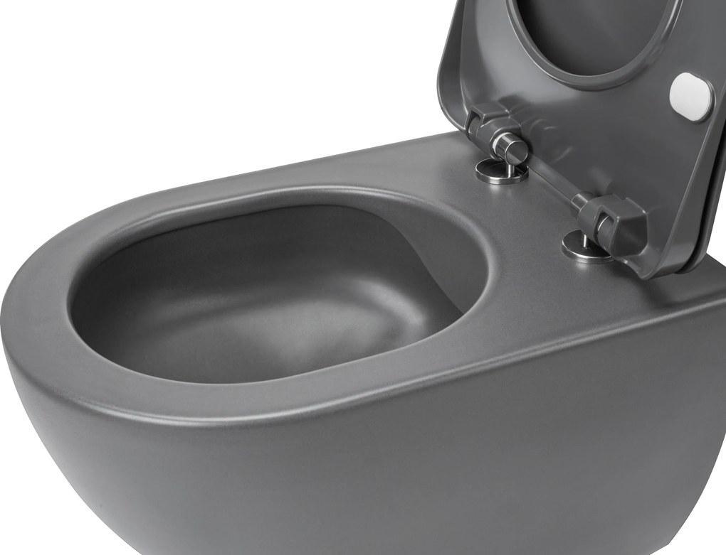 Deante Závesný WC komplet bez okraja Peonia - CDEDDZPW, vrátane SoftClose sedadla, titán