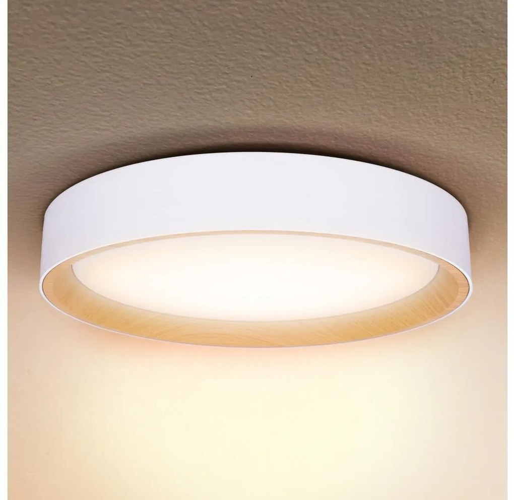 Brilagi -LED Stmievateľné svietidlo LARIOS LED/48W/230V 3000-6500K ø 39 cm biela+DO