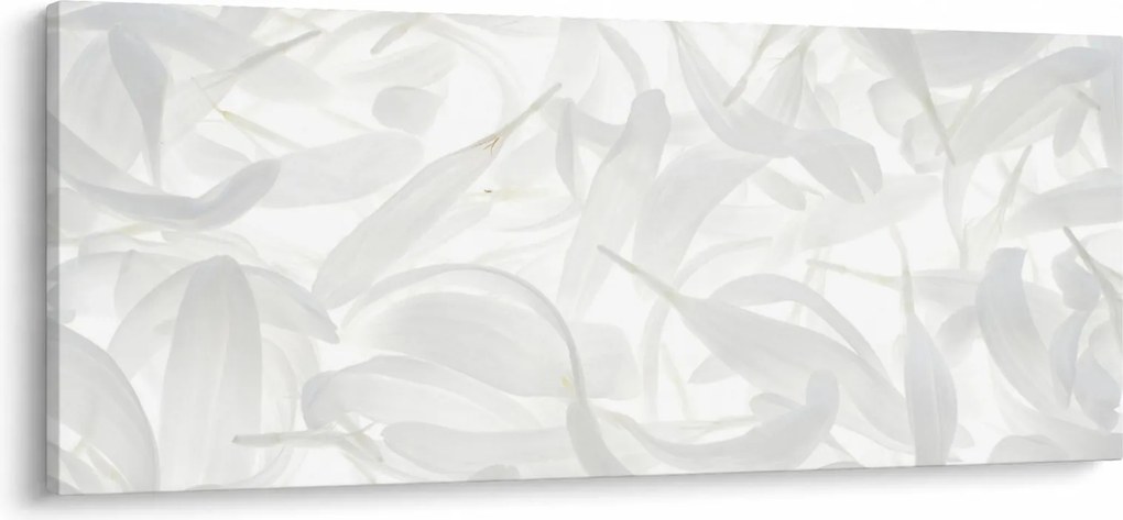 Obraz - Okvetné lístky (120x50 cm)