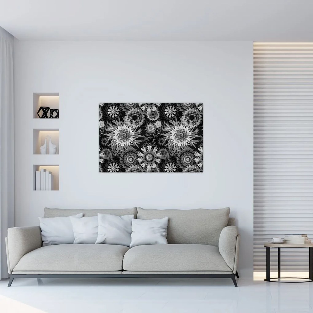 Obraz - Čiernobiele bodliaky (90x60 cm)