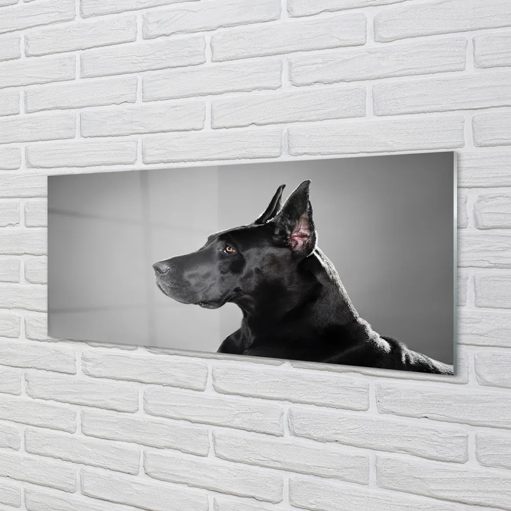Obraz na akrylátovom skle Čierny pes 120x60 cm