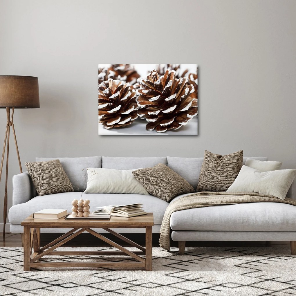 Obraz - Šišky (70x50 cm)