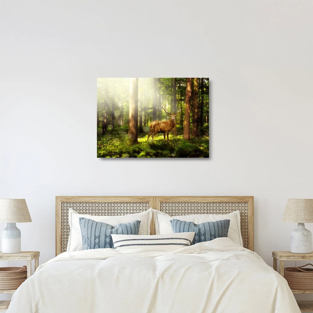 Sklenený obraz jeleňa v lese (70x50 cm)