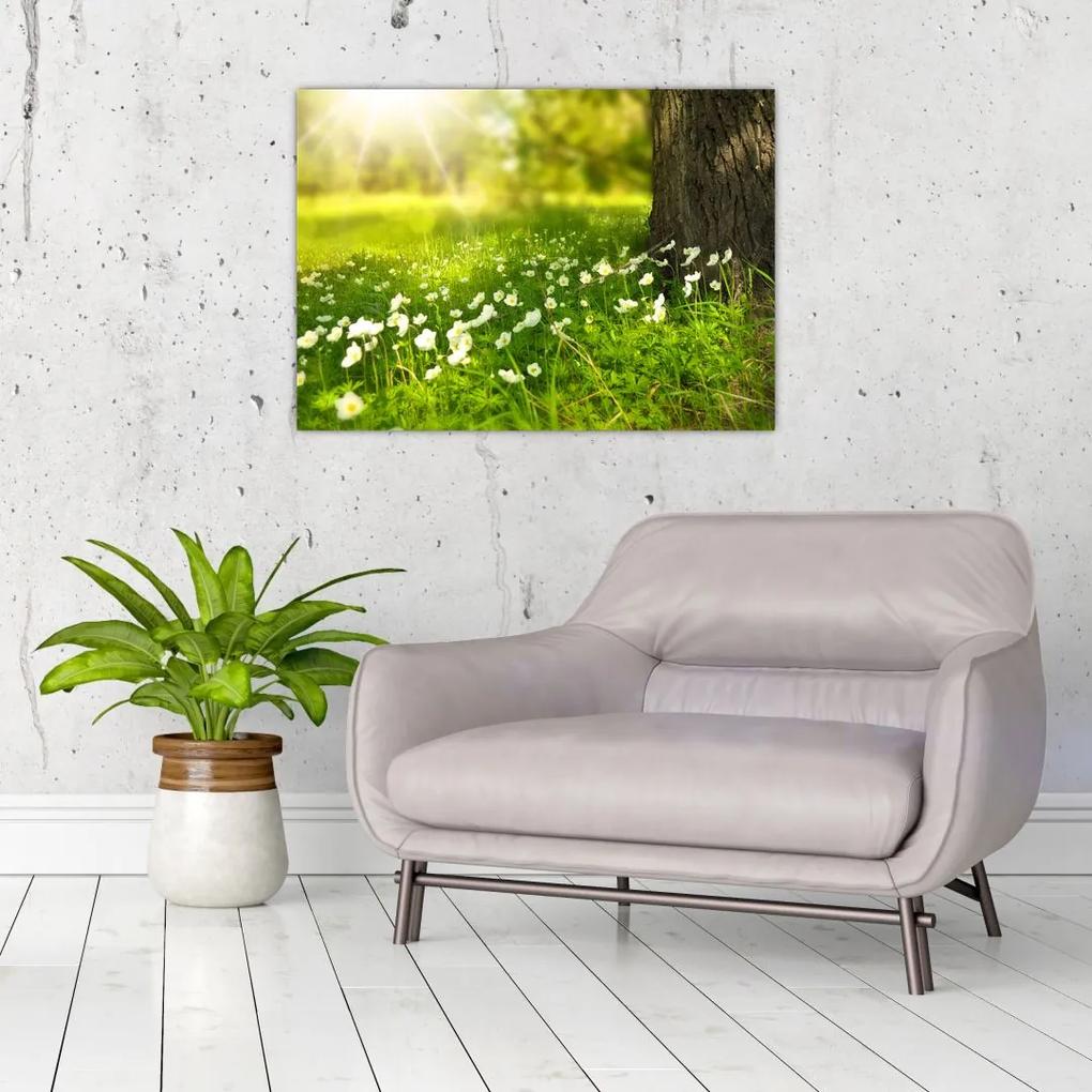 Sklenený obraz paseky a kvetín (70x50 cm)