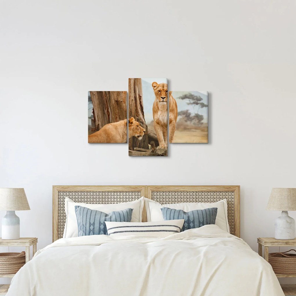Obraz - dve levice (90x60 cm)