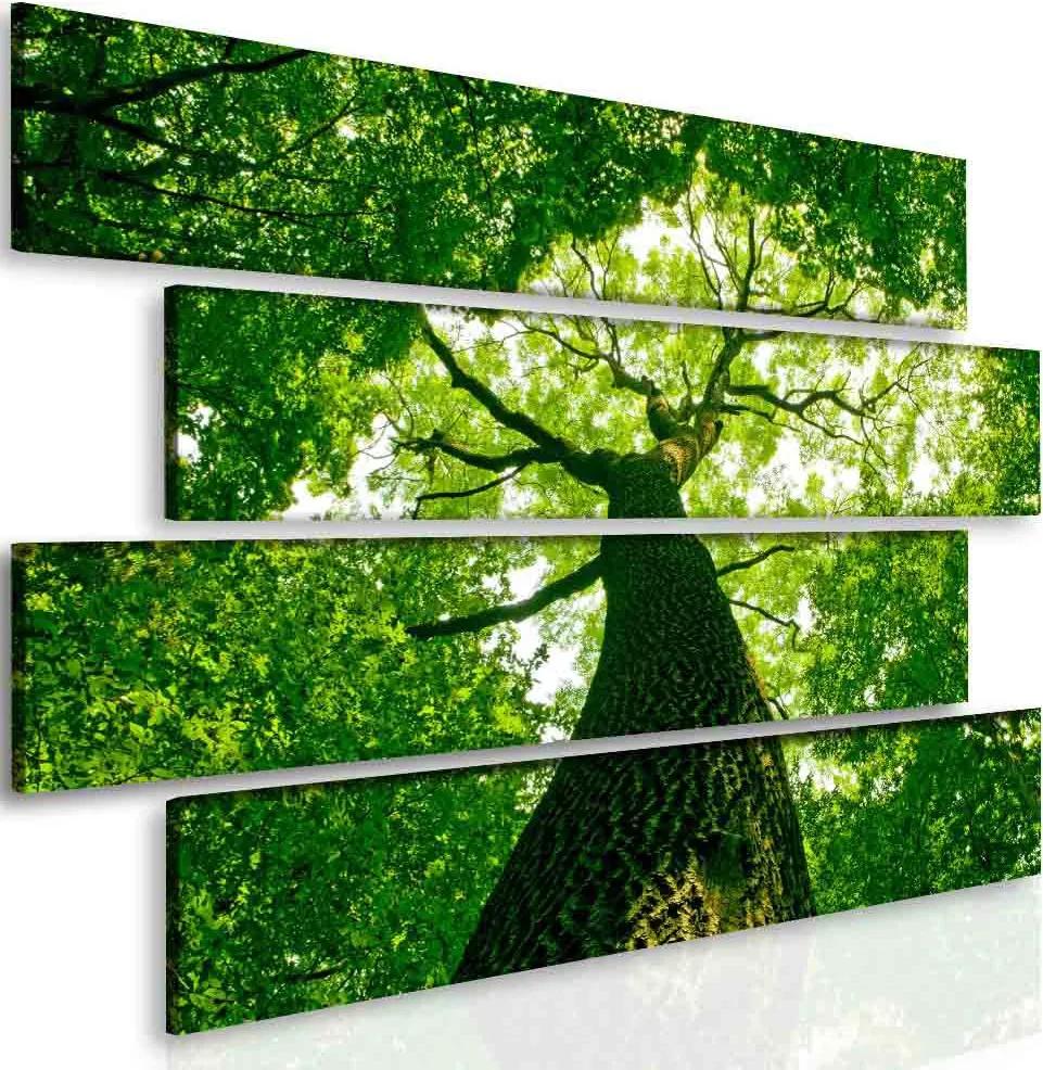 InSmile Obraz relax pod stromem(145x100 cm)