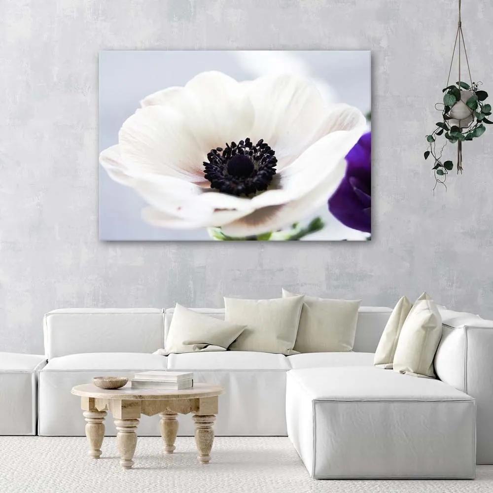 Obraz na plátně Květina Bílá příroda - 100x70 cm