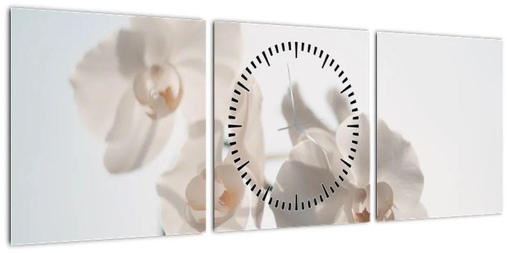 Obraz bielej orchidey (s hodinami) (90x30 cm)