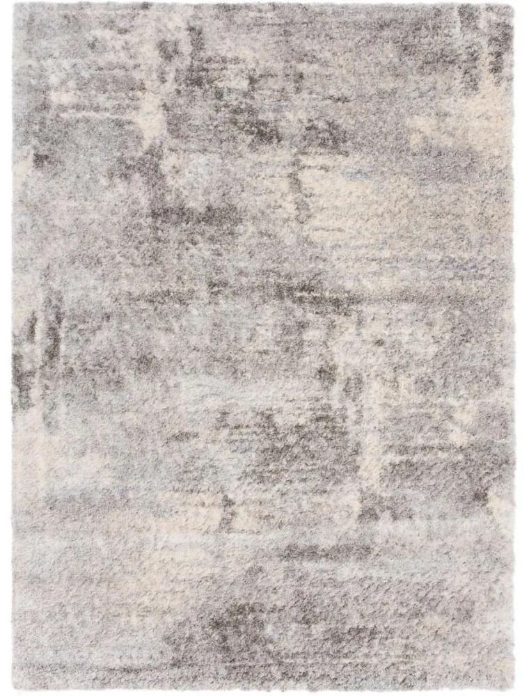 Kusový koberec shaggy Feride sivý 160x229cm