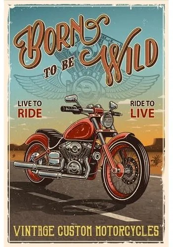 Ceduľa Born To Be Wild