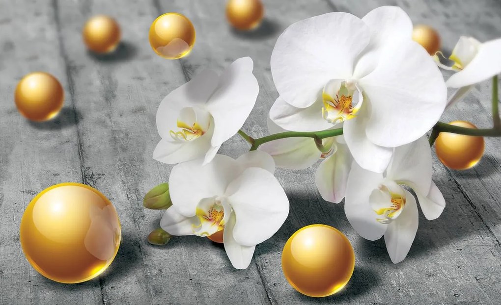 Fototapeta - Orchidea (254x184 cm)