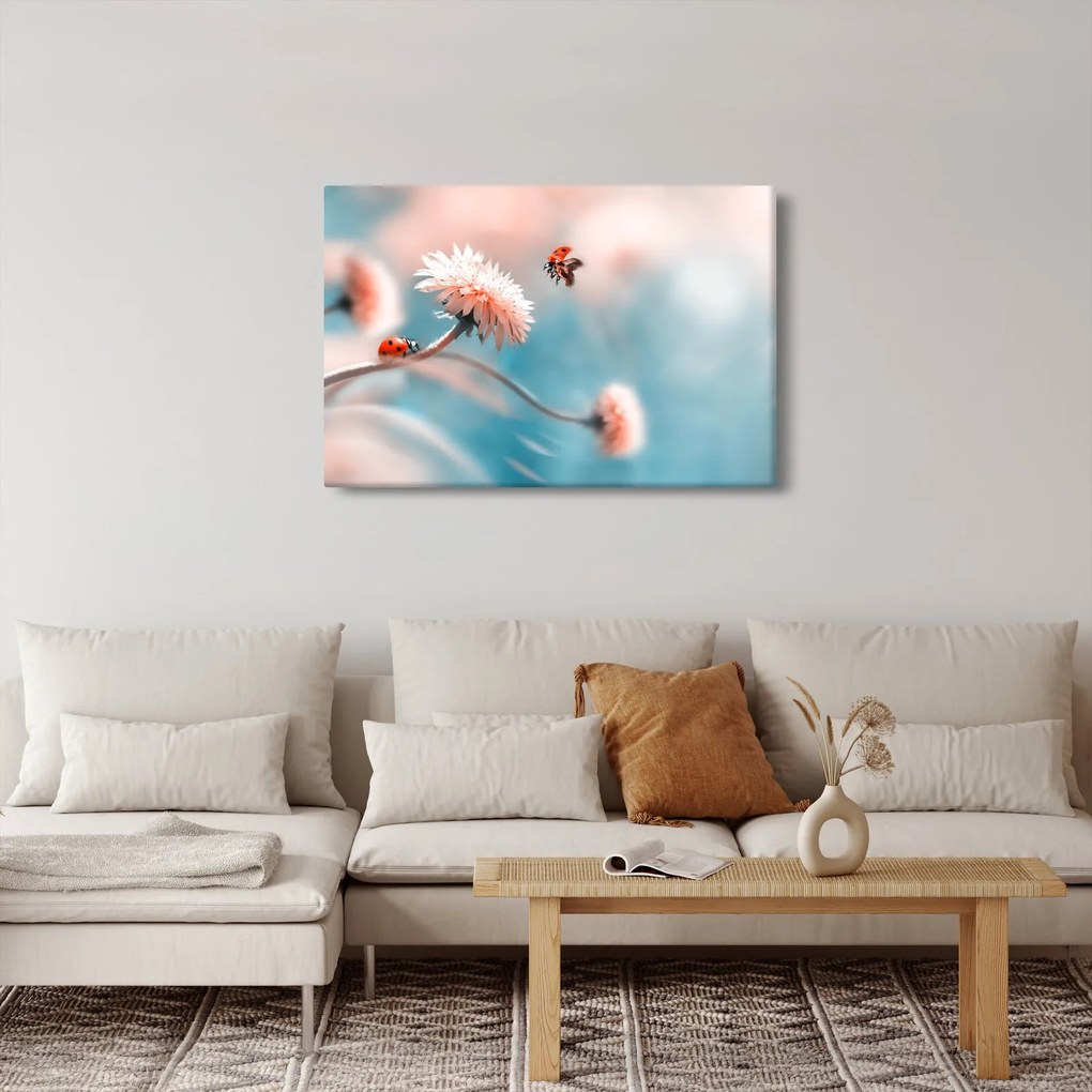 Obraz - Lienky na kvete (90x60 cm)