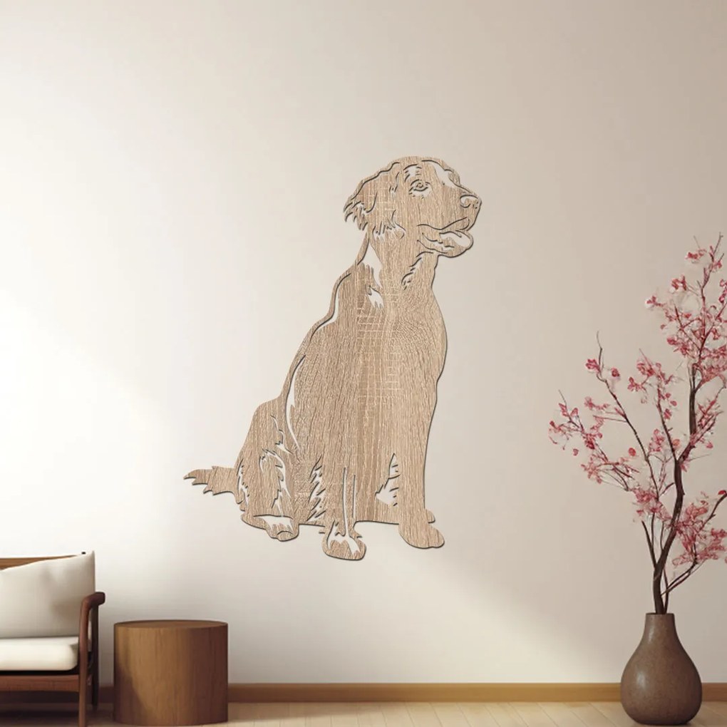 dřevo života Drevená dekorácia s motívom psa Flat Coated Retriever Rozmery - cm: 30x40, Zvoľte farbu dekoru: Orech