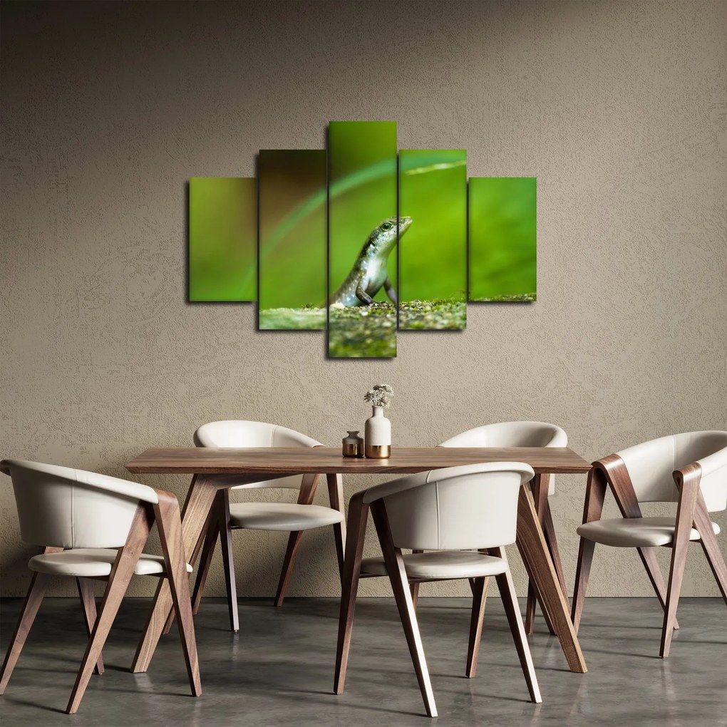 Obraz jašteričky (150x105 cm)