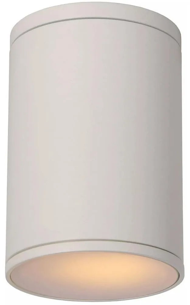 Lucide 27870/01/31 - Kúpeľňové stropné svietidlo TUBIX 1xE27/24W/230V IP54