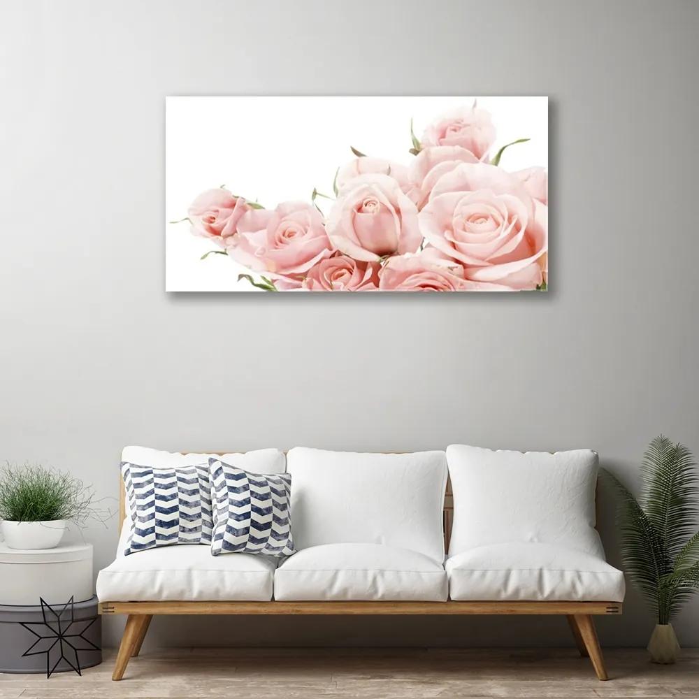 Obraz na akrylátovom skle Ruže kvety rastlina 125x50 cm