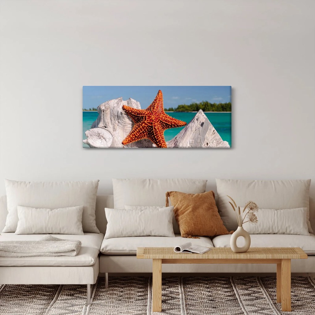 Obraz morskej hviezdice (120x50 cm)