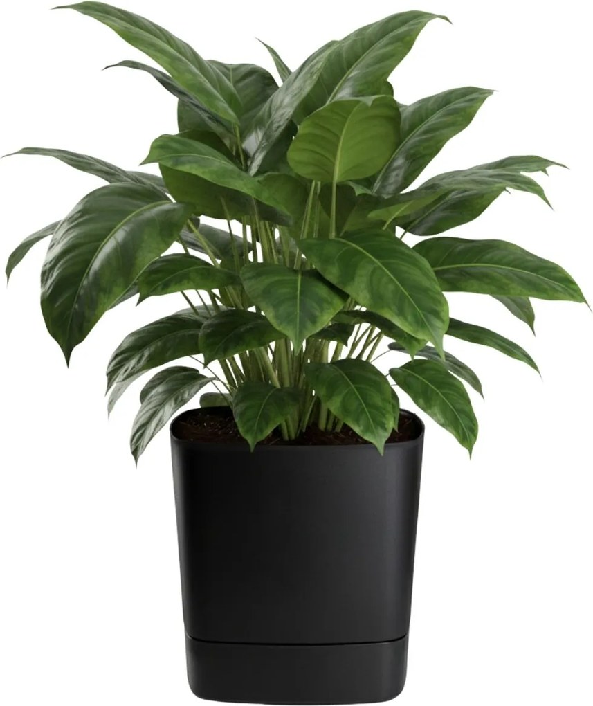 PLASTOVÝ KVETINÁČ CUBI 34X36,5 CM ČIERNA