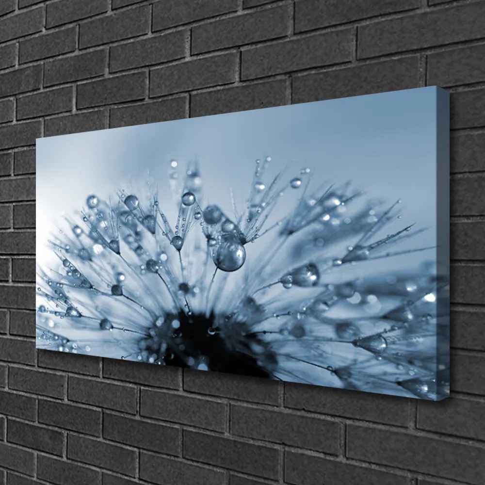 Obraz Canvas Púpava kvet kvapky 120x60 cm
