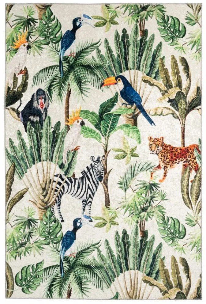 Obsession, Kusový koberec Exotic 213 multi, 160x230, viacfarebná, obývacia izba