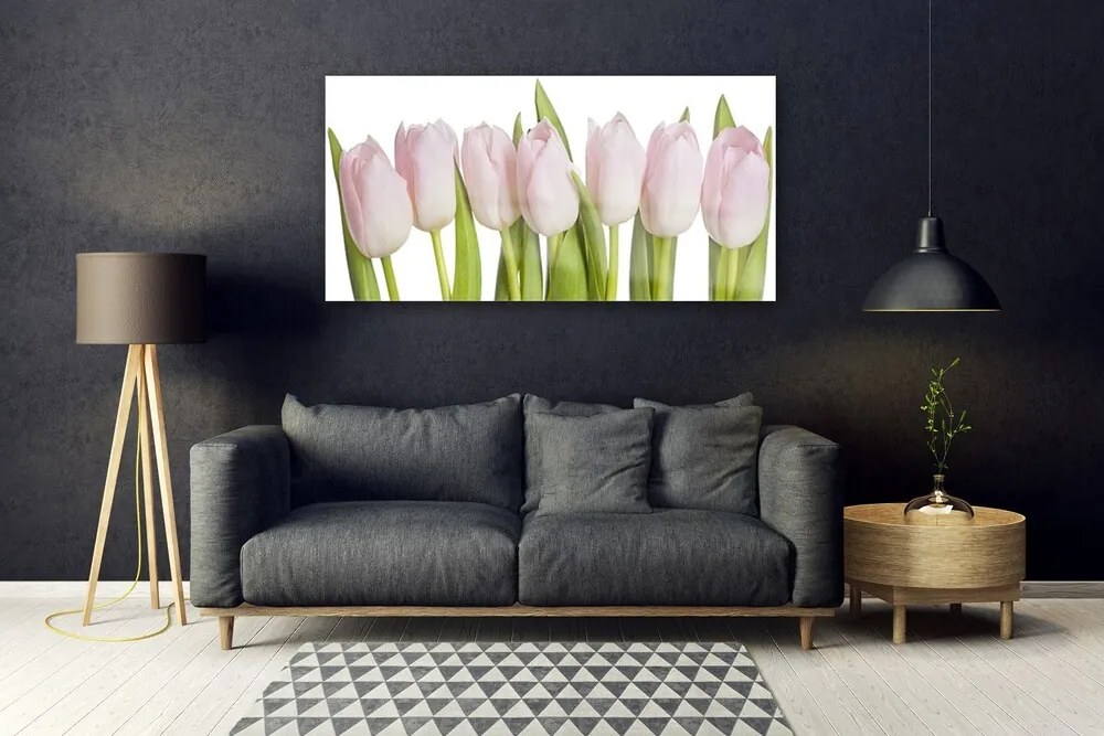 Obraz plexi Tulipány kvety rastlina 120x60 cm