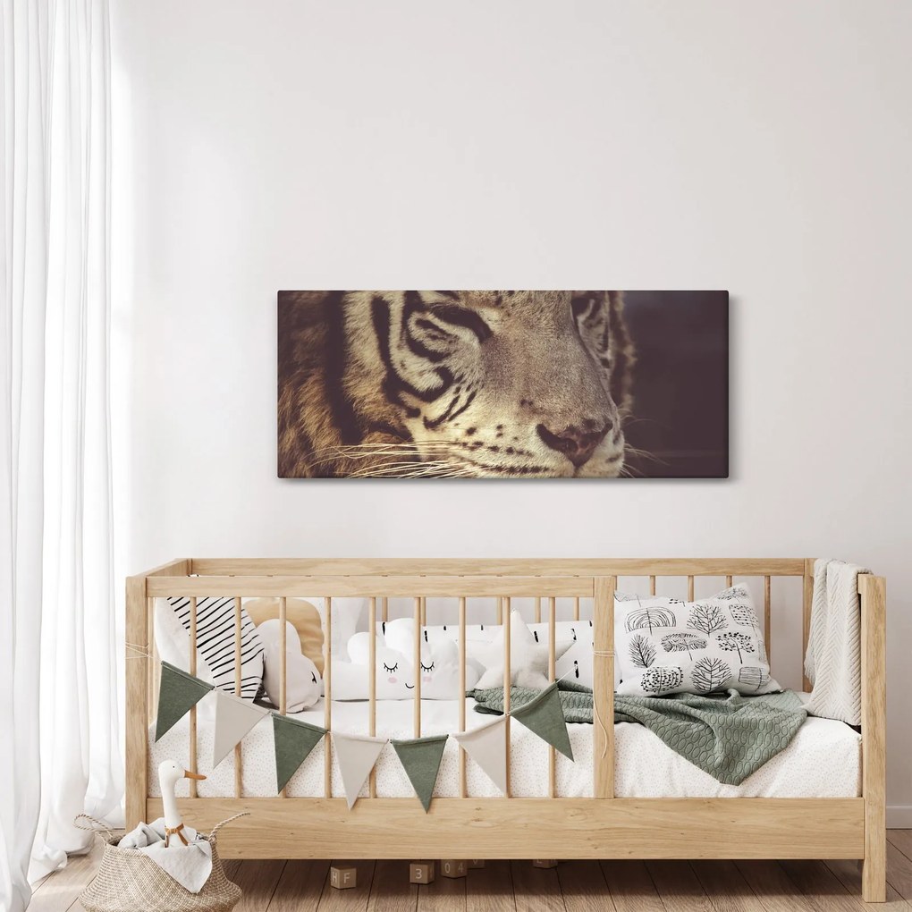 Obraz tigra (120x50 cm)