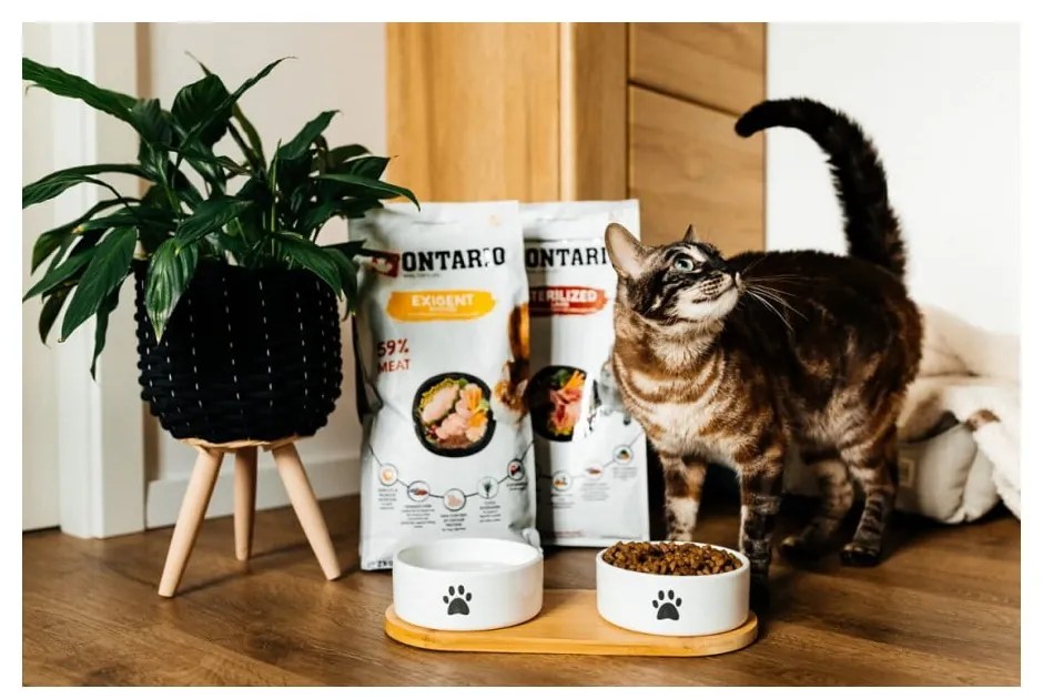 Keramická súprava misiek s podstavcom pre psa ø 13 cm Dog Fantasy – Plaček Pet Products