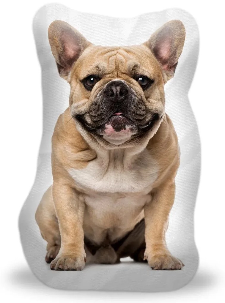 Sablio 3D vankúš Francúzsky buldoček 3