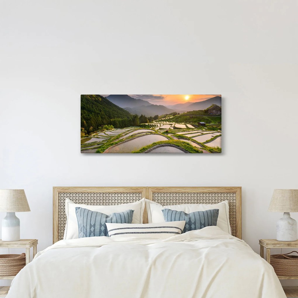 Obraz - Ryžové terasy (120x50 cm)