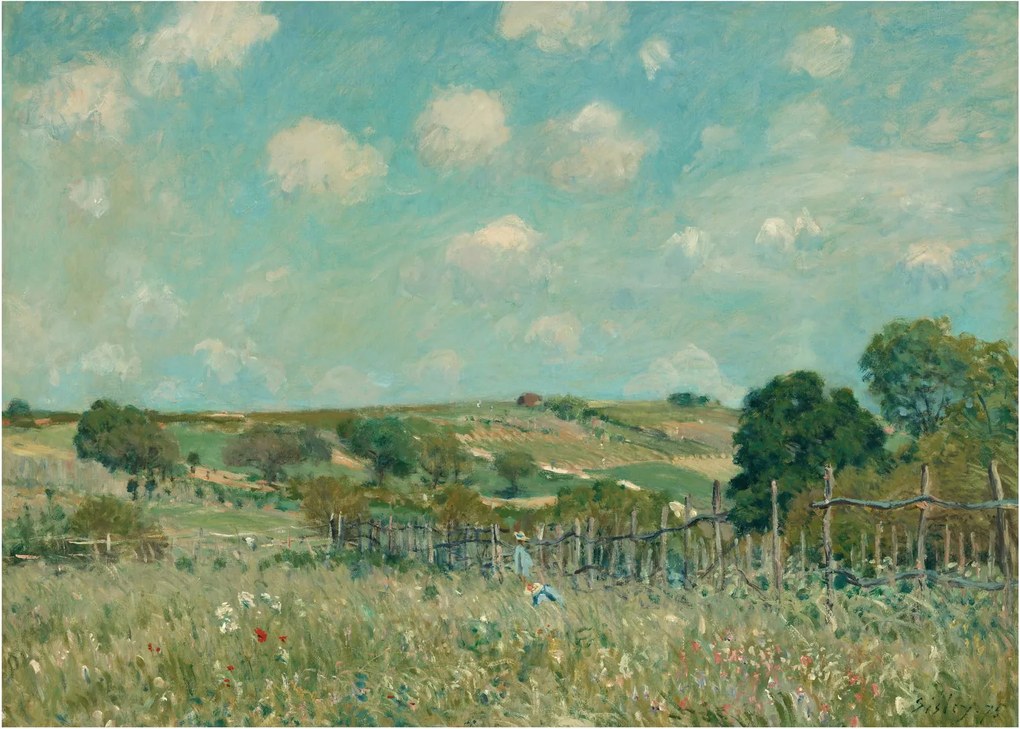 Sklenený obraz - Alfred Sisley, Meadow, reprodukcia (70x50 cm)