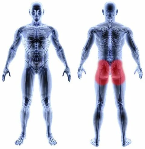 Sedací oválny vankúšik 480 mm Vitility VIT-70510350