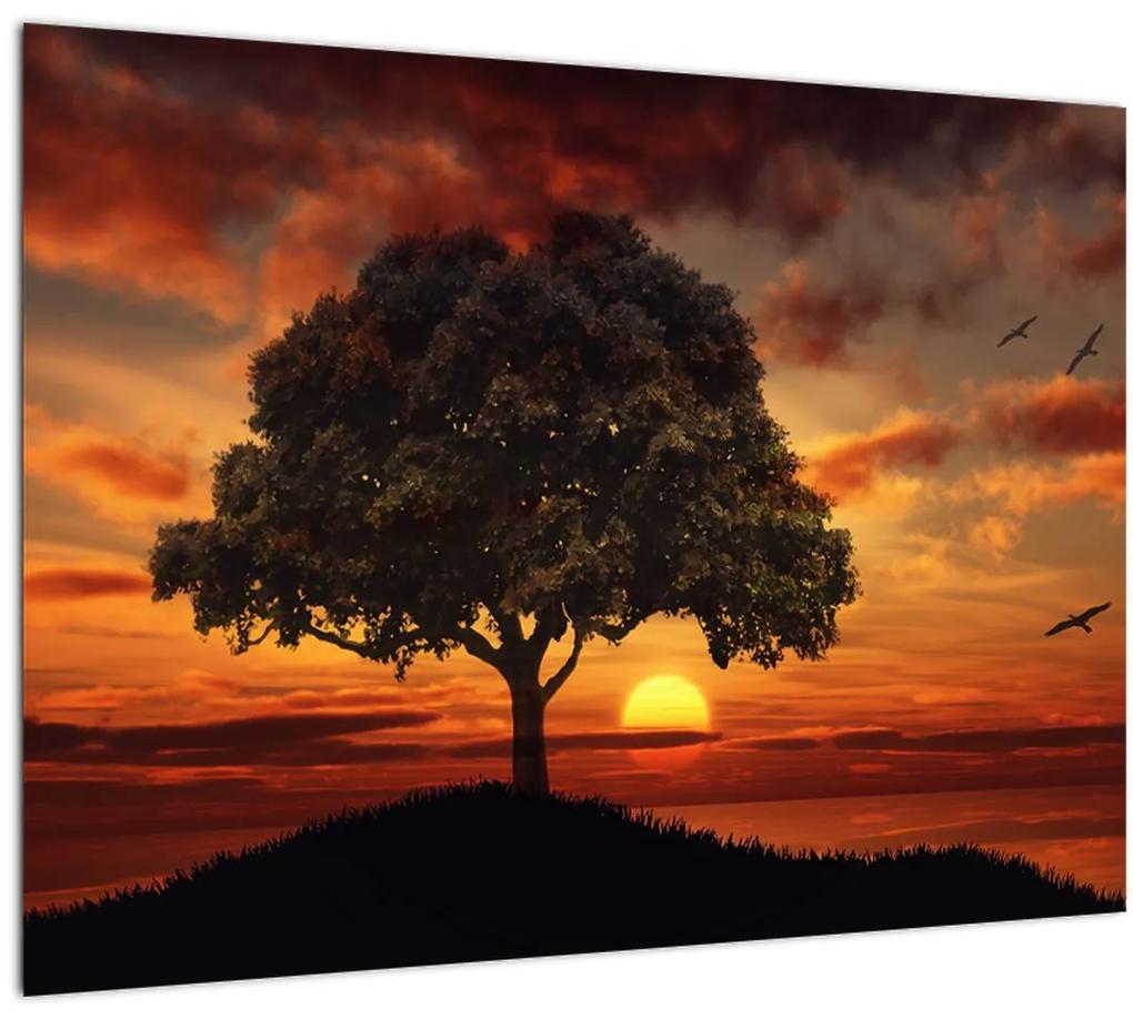 Sklenený obraz stromu pri západe slnka (70x50 cm)