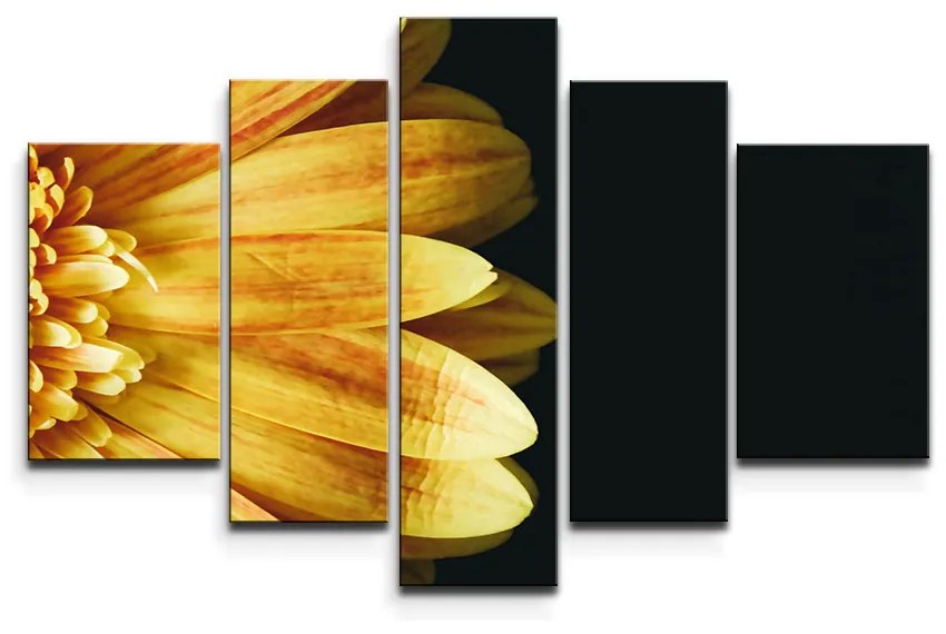 Sablio Obraz - 5-dílný Žltá gerbera - 125x90 cm