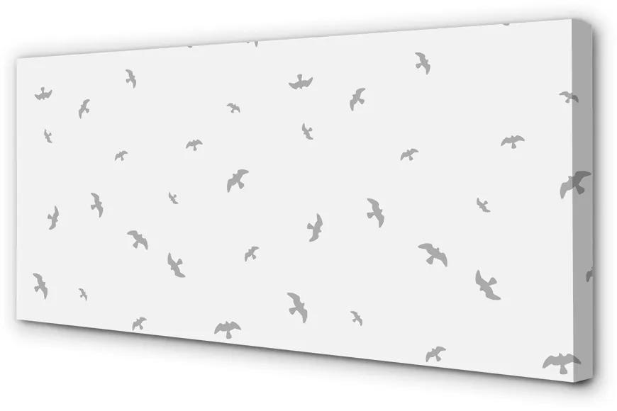 Obraz na plátne šedej vtákov 140x70 cm