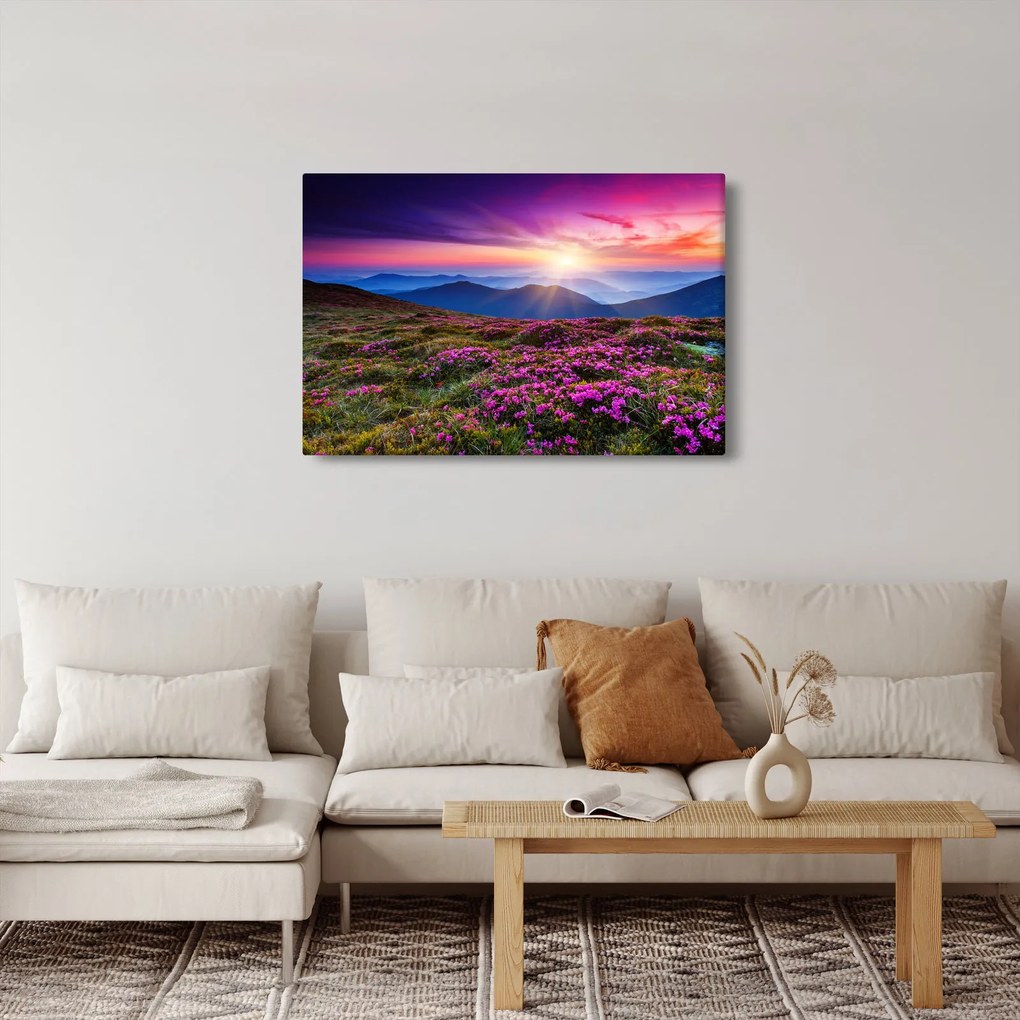 Obraz - Horská rozkvitnutá krajina (90x60 cm)