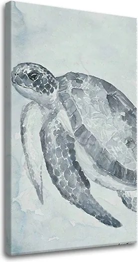 Obraz na plátne KORYTNAČKA