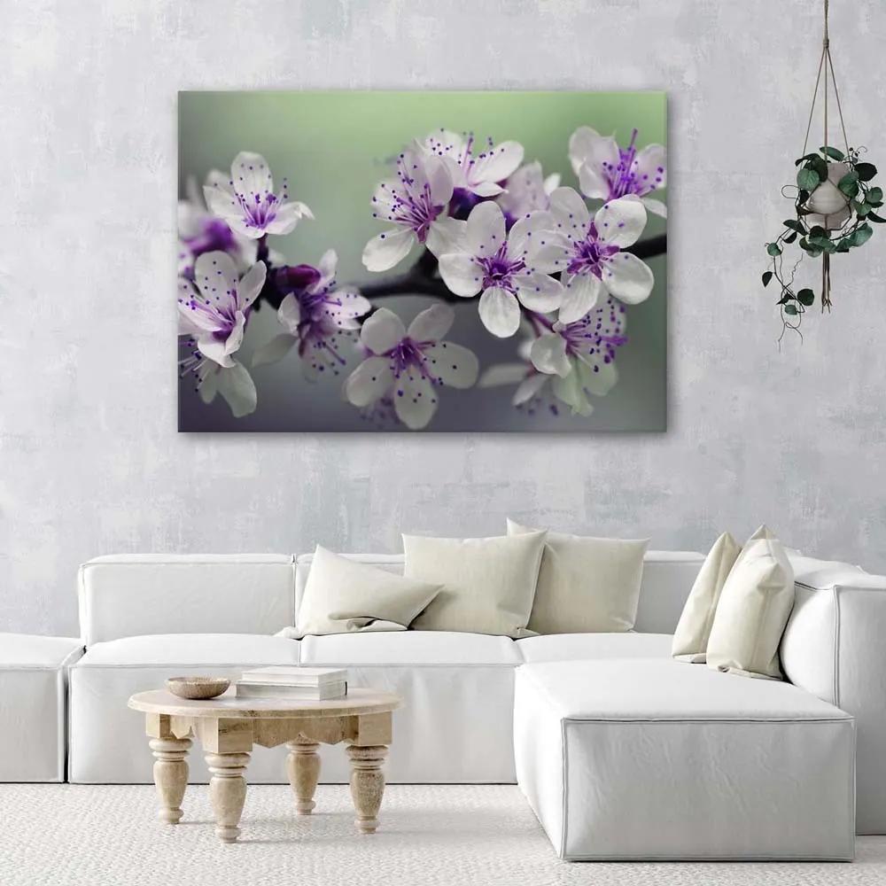 Obraz na plátně Obraz na plátněso Květ jabloně Přírodní rostlina - 120x80 cm