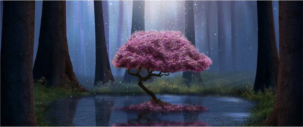 Obraz - Magická noc (120x50 cm)