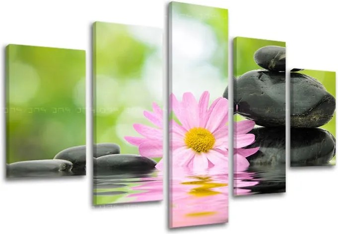 Obraz na stenu 5 dielny FENG SHUI FS009E50