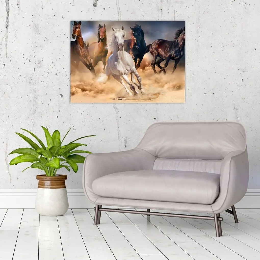Sklenený obraz - Kone v púšti (70x50 cm)