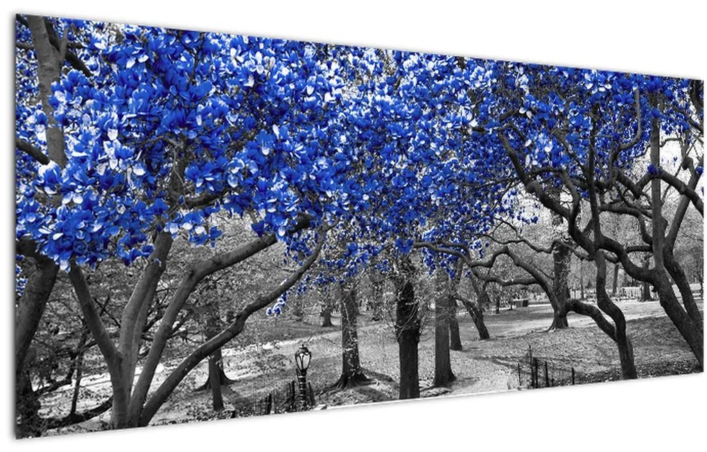 Obrázok - Modré stromy, Central Park, New York (120x50 cm)